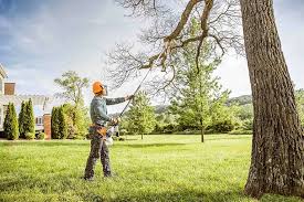Best Hedge Trimming  in Sea Bright, NJ